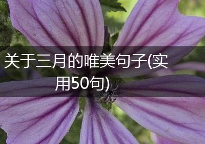 关于三月的唯美句子(实用50句)