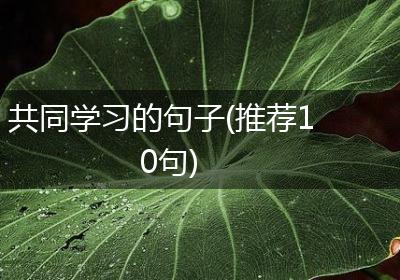 共同学习的句子(推荐10句)