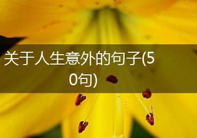 关于人生意外的句子(50句)