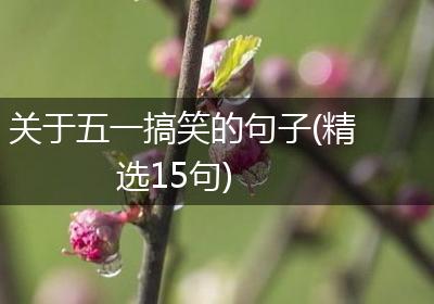 关于五一搞笑的句子(精选15句)