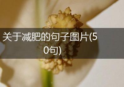 关于减肥的句子图片(50句)