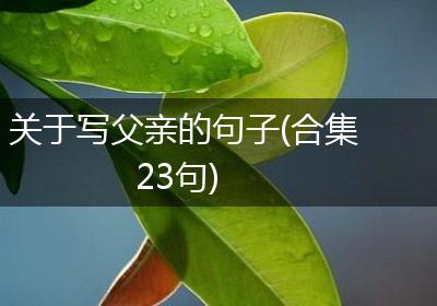 关于写父亲的句子(合集23句)