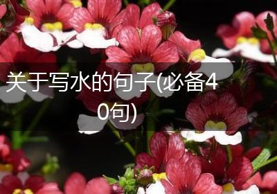 关于写水的句子(必备40句)