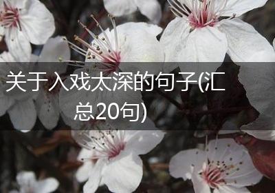 关于入戏太深的句子(汇总20句)