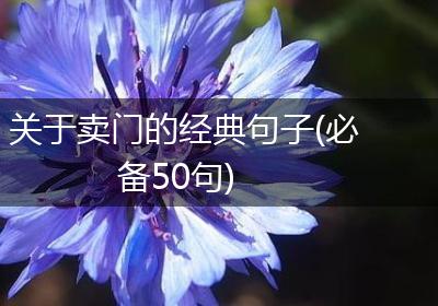 关于卖门的经典句子(必备50句)