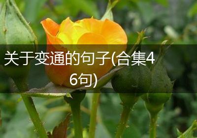关于变通的句子(合集46句)