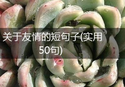 关于友情的短句子(实用50句)