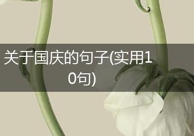 关于国庆的句子(实用10句)
