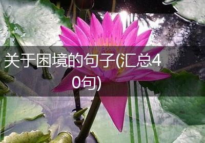 关于困境的句子(汇总40句)