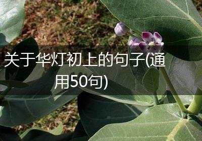 关于华灯初上的句子(通用50句)