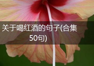 关于喝红酒的句子(合集50句)