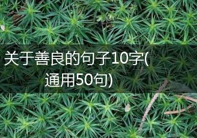 关于善良的句子10字(通用50句)