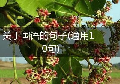 关于国语的句子(通用10句)