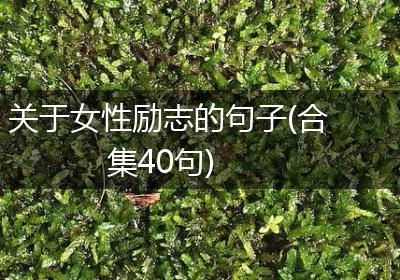关于女性励志的句子(合集40句)