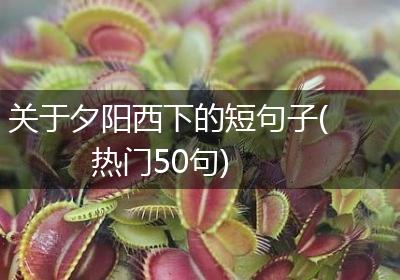 关于夕阳西下的短句子(热门50句)