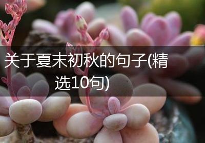 关于夏末初秋的句子(精选10句)