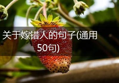 关于嫁错人的句子(通用50句)