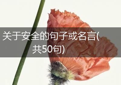 关于安全的句子或名言(共50句)
