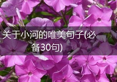 关于小河的唯美句子(必备30句)