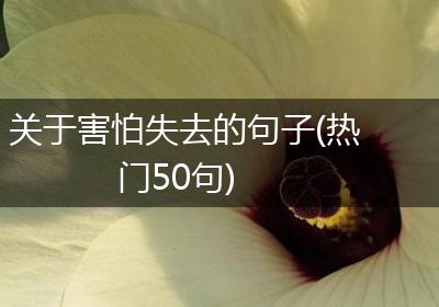 关于害怕失去的句子(热门50句)