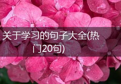 关于学习的句子大全(热门20句)