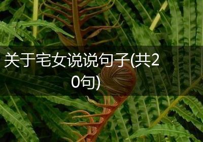 关于宅女说说句子(共20句)