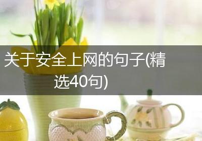 关于安全上网的句子(精选40句)