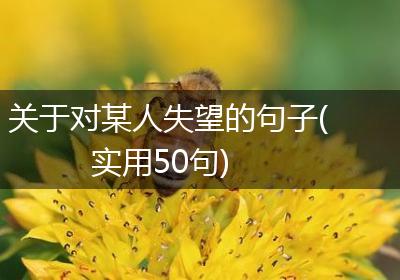 关于对某人失望的句子(实用50句)
