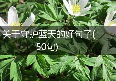 关于守护蓝天的好句子(50句)