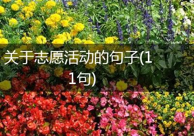 关于志愿活动的句子(11句)