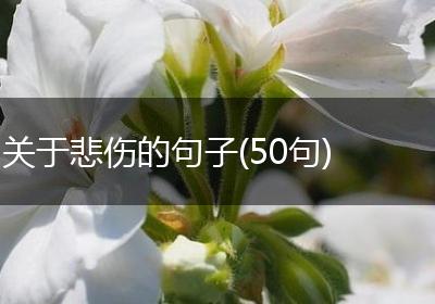 关于悲伤的句子(50句)