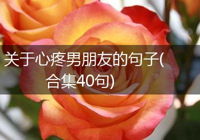 关于心疼男朋友的句子(合集40句)