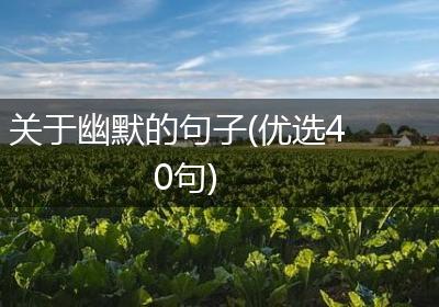 关于幽默的句子(优选40句)