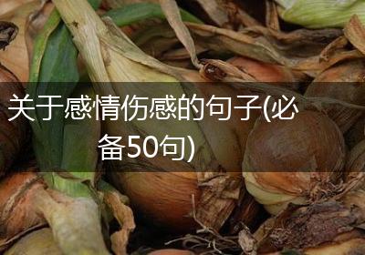 关于感情伤感的句子(必备50句)