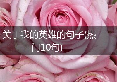 关于我的英雄的句子(热门10句)