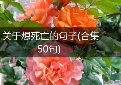 关于想死亡的句子(合集50句)