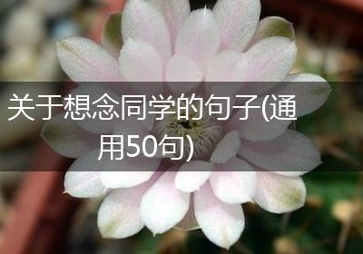 关于想念同学的句子(通用50句)