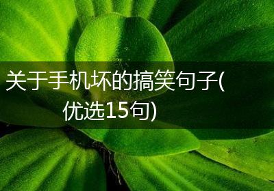 关于手机坏的搞笑句子(优选15句)