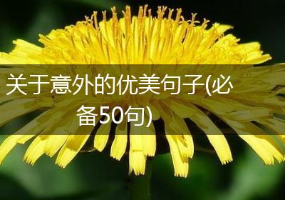 关于意外的优美句子(必备50句)