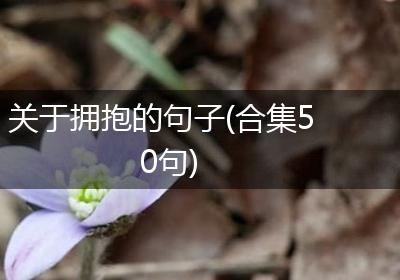 关于拥抱的句子(合集50句)