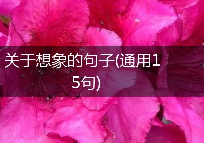 关于想象的句子(通用15句)