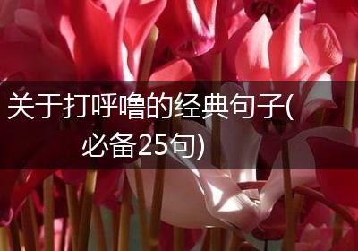 关于打呼噜的经典句子(必备25句)