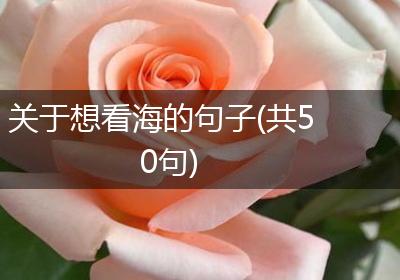 关于想看海的句子(共50句)