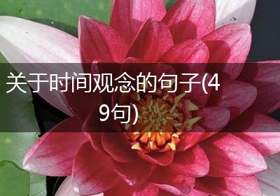 关于时间观念的句子(49句)