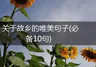 关于故乡的唯美句子(必备10句)