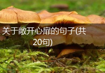 关于敞开心扉的句子(共20句)