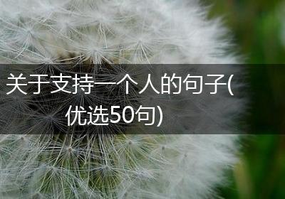 关于支持一个人的句子(优选50句)