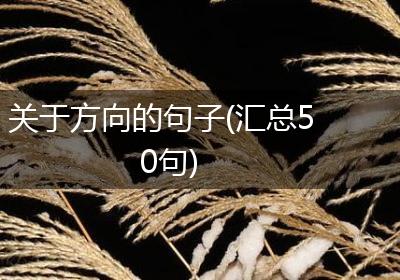 关于方向的句子(汇总50句)