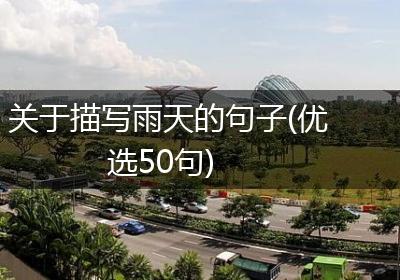 关于描写雨天的句子(优选50句)