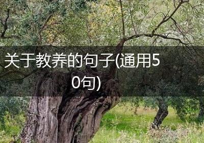 关于教养的句子(通用50句)